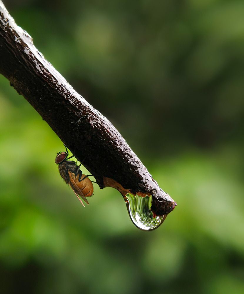 Photograph by ANTU MONDAL