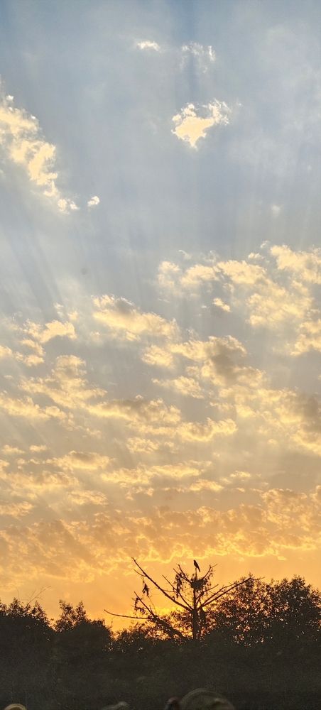 Sunset: (landscape)