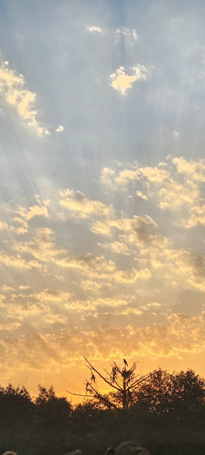 Sunset: (landscape)