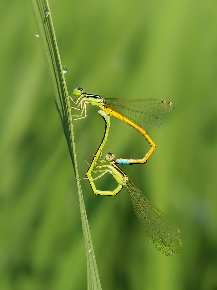 Photograph by ANTU MONDAL