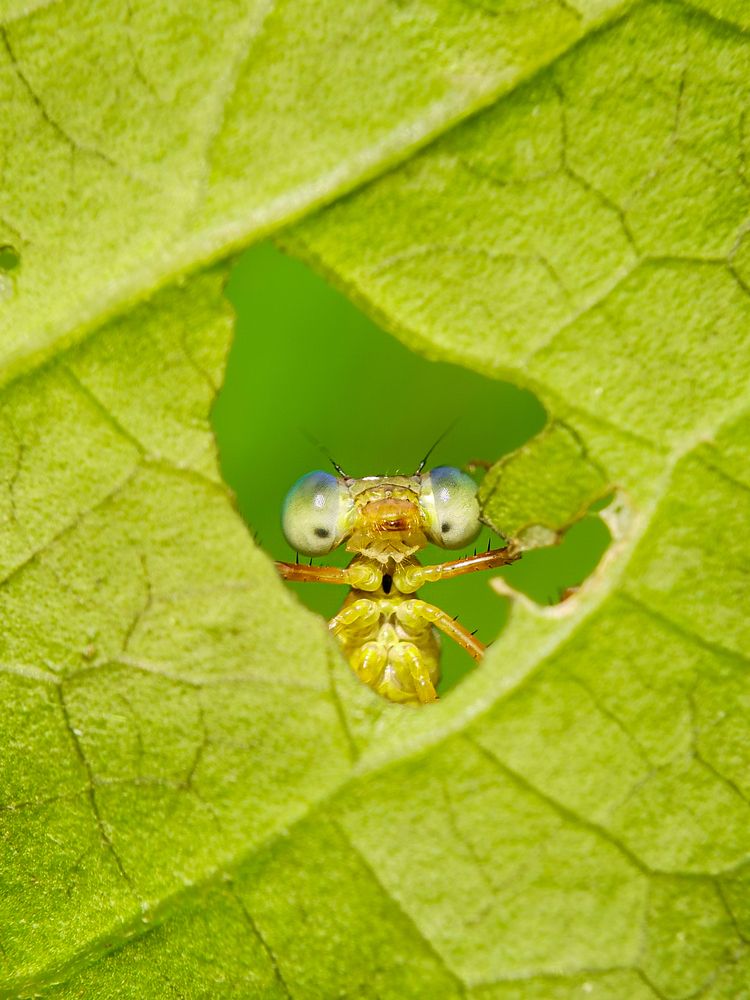 Photograph by ANTU MONDAL