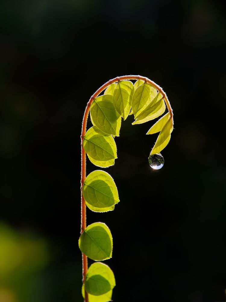 Photograph by ANTU MONDAL