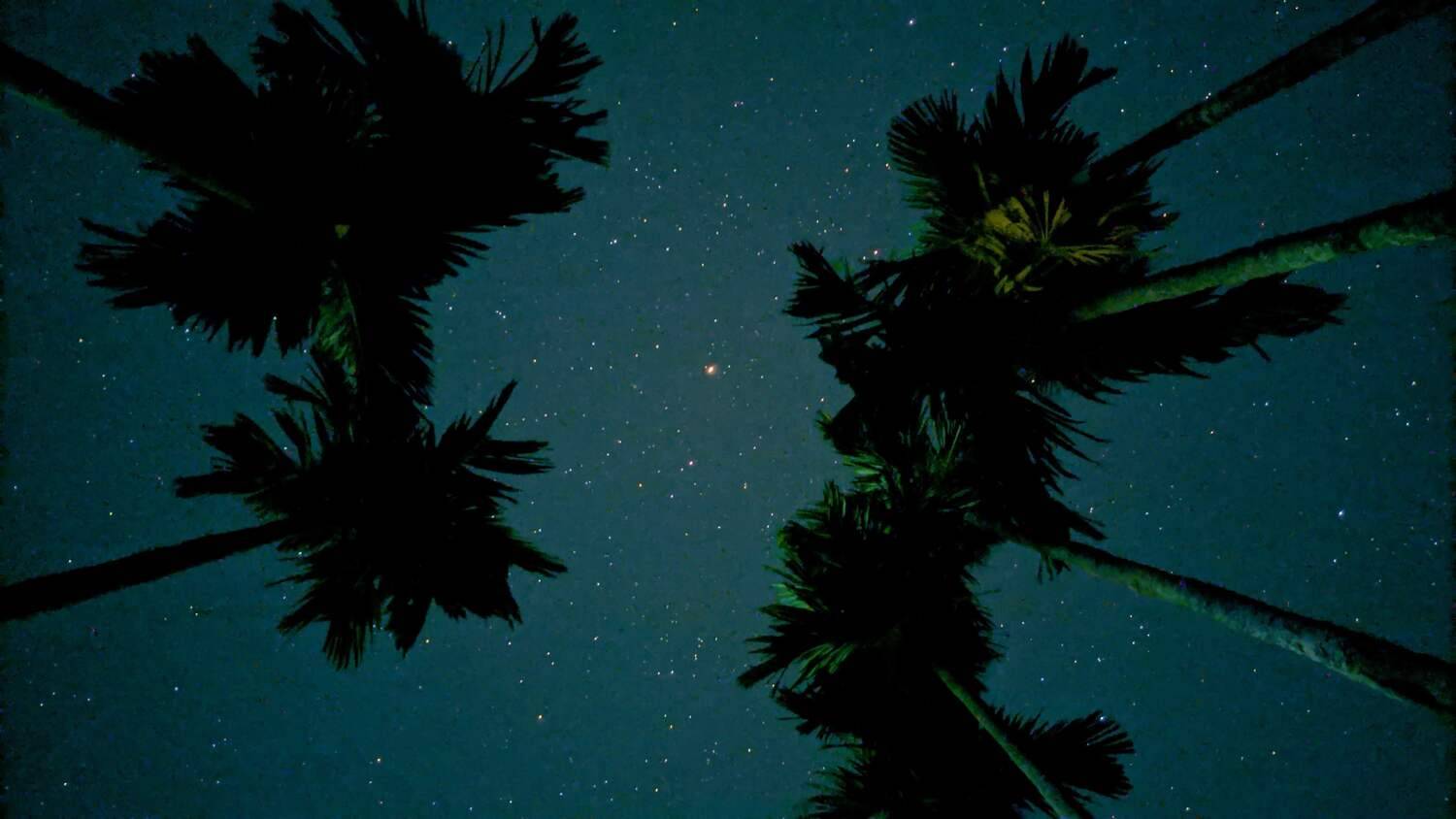 “Whispers Beneath the Stars”