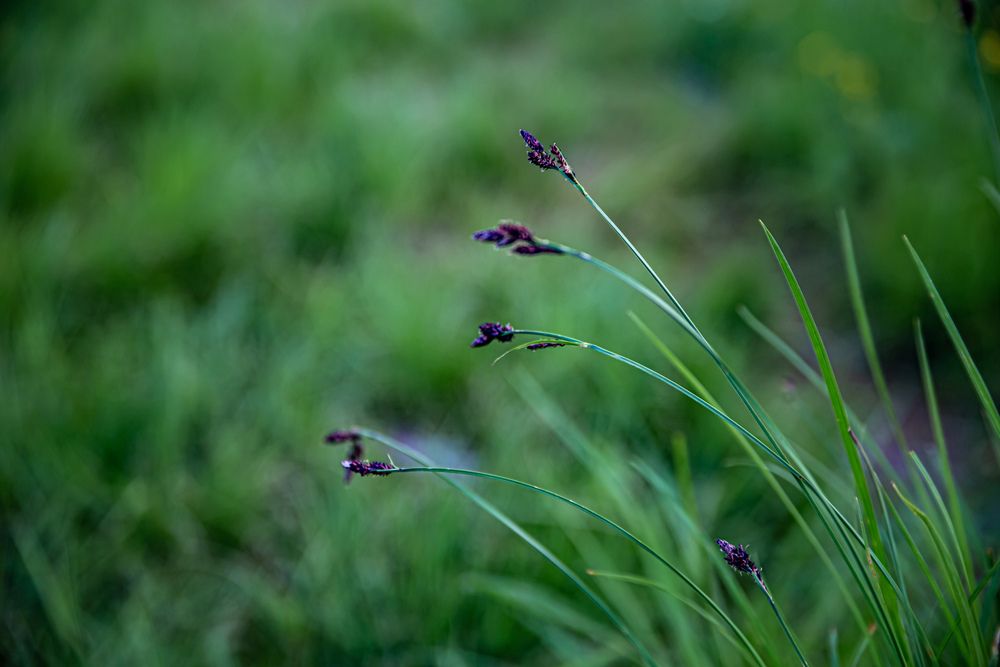 Photograph by Оксана Ланских