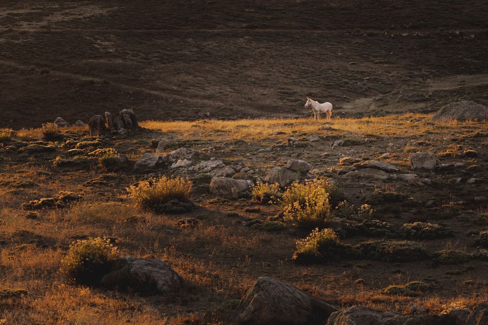 Photograph by Miroslava Sevastianova
