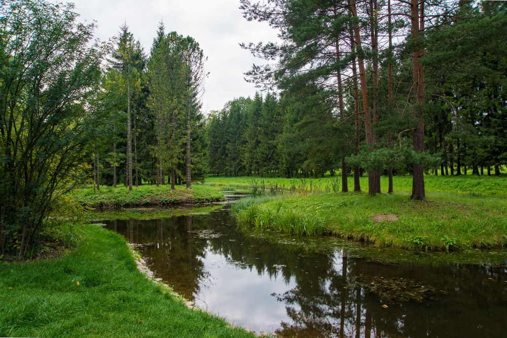 Photo #13605509