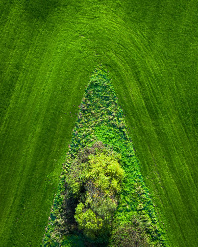 Photograph by Emilien Deschaume