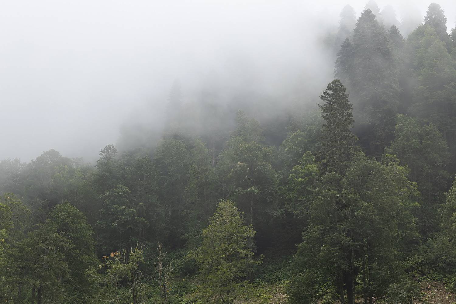 Photo #13605574