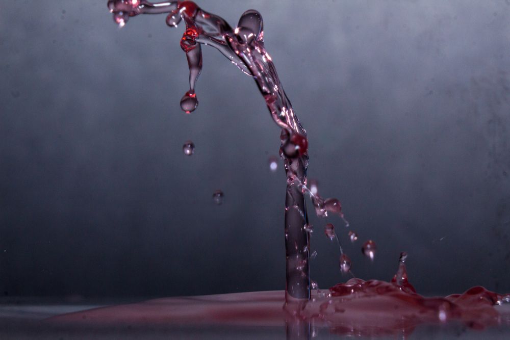 Photograph by John J Savala