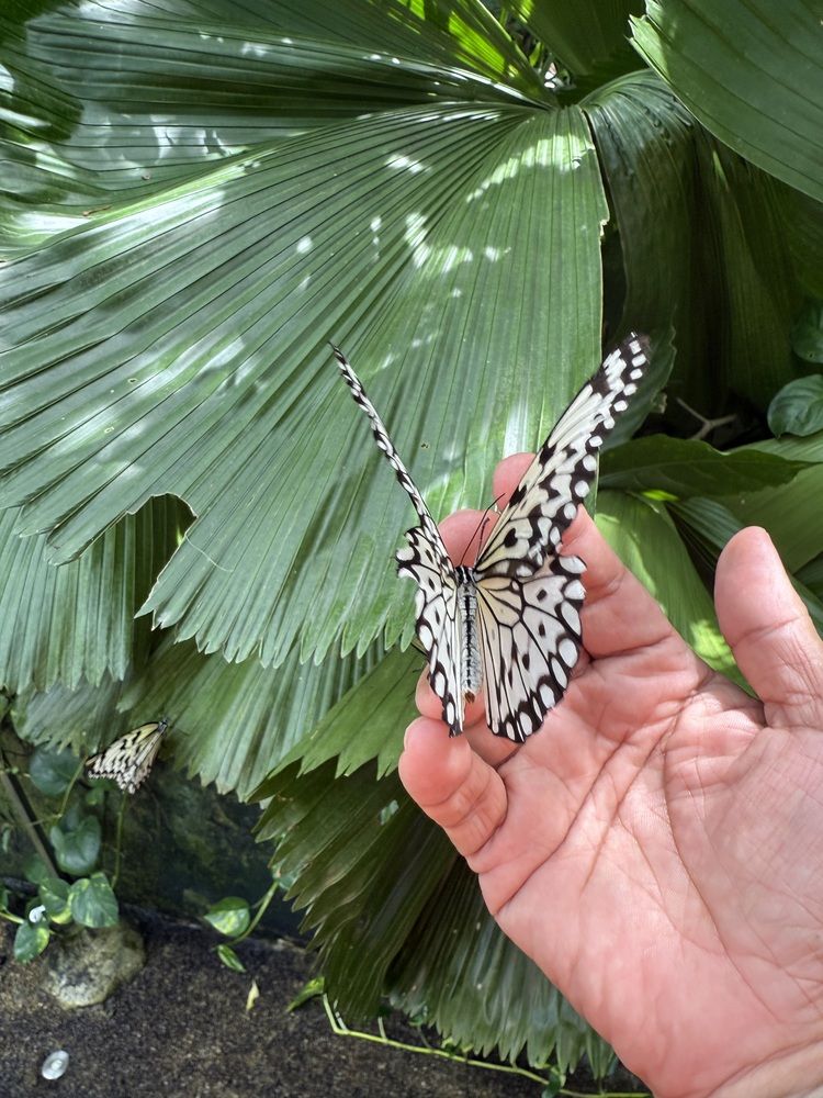 Photograph by Rajendran Arjunan