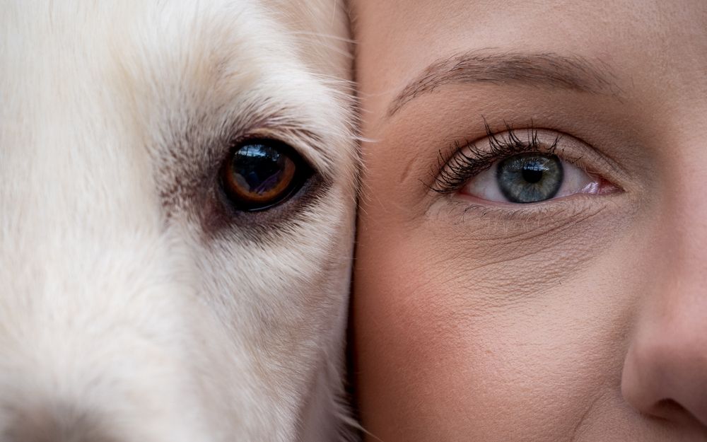 The eyes are the mirror of the soul...