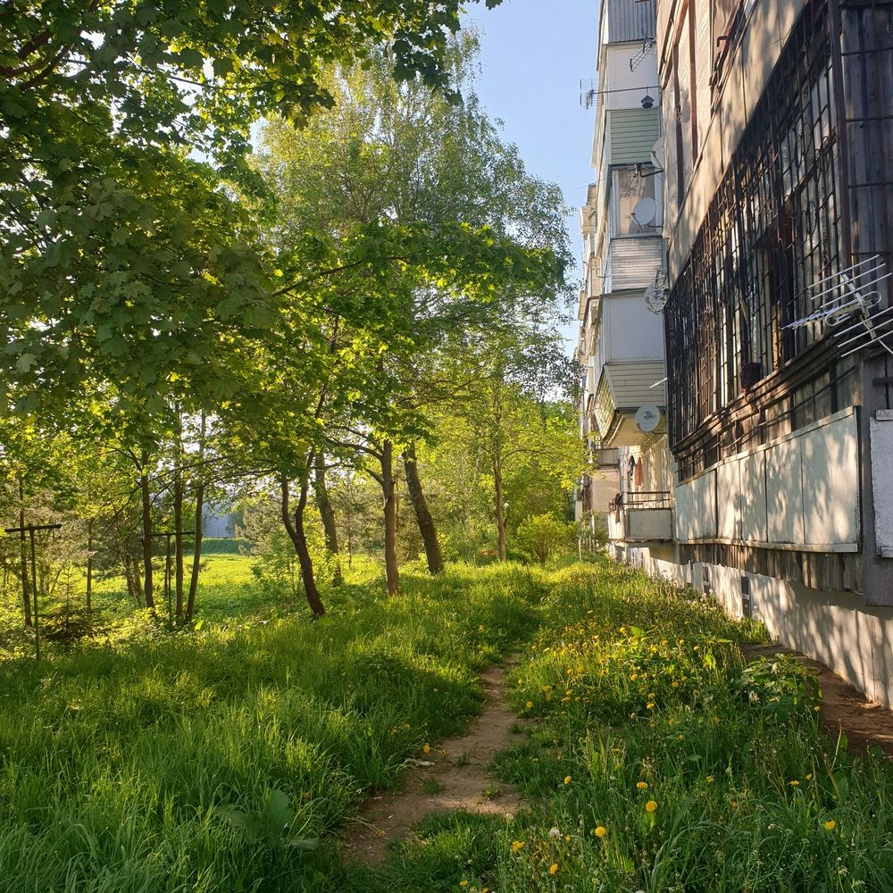 Photograph by Софья