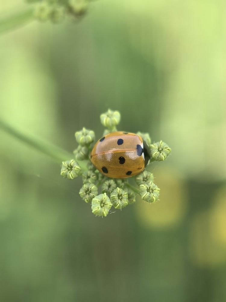 Photograph by Ольга Третьякова