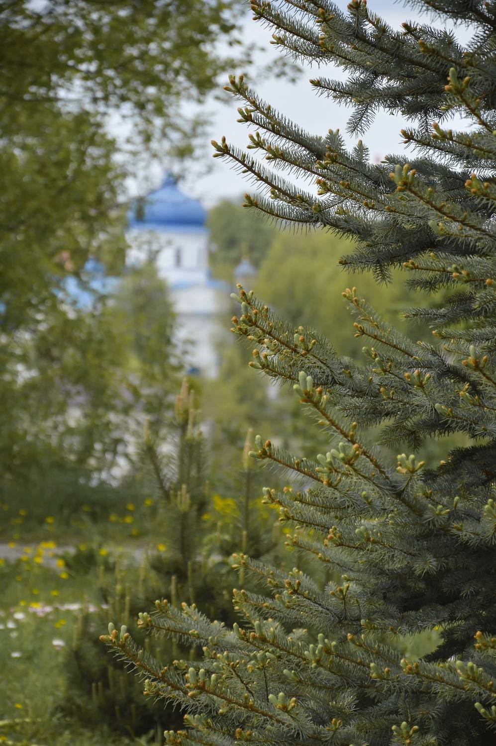 Mogilev