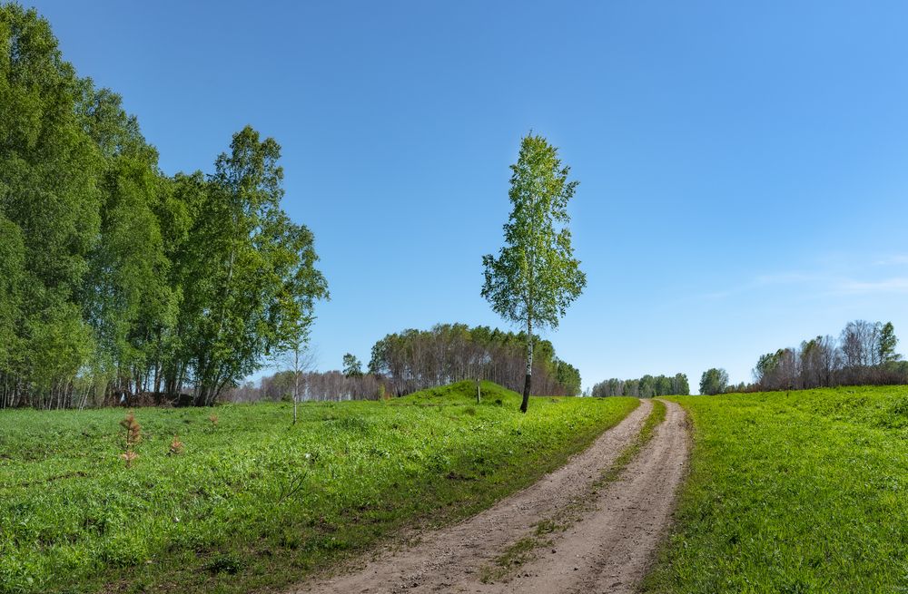Одинокая.