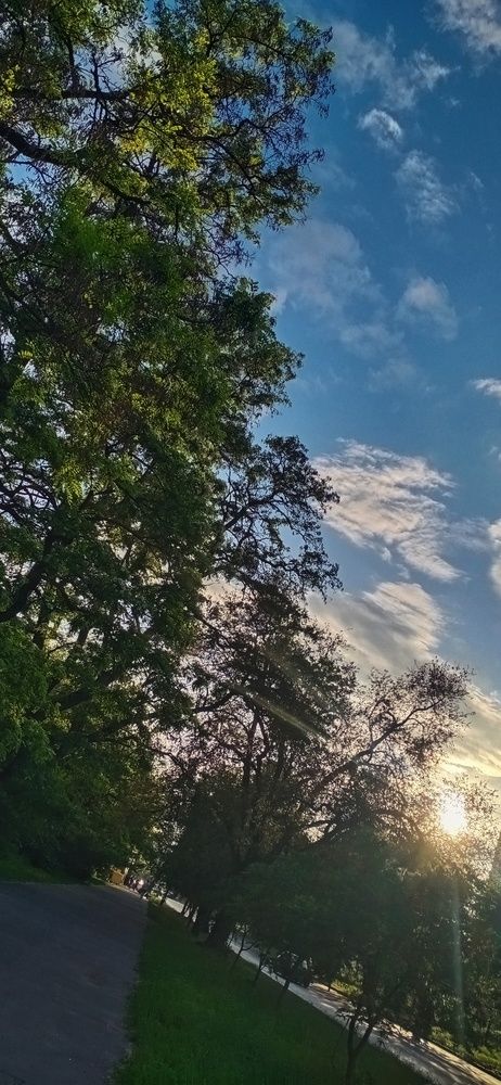 Photograph by Инна Базилева