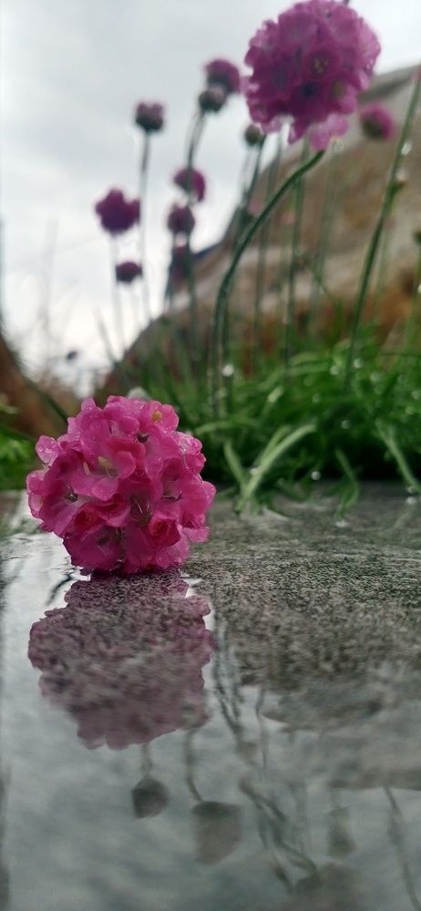 Photograph by Инна Базилева