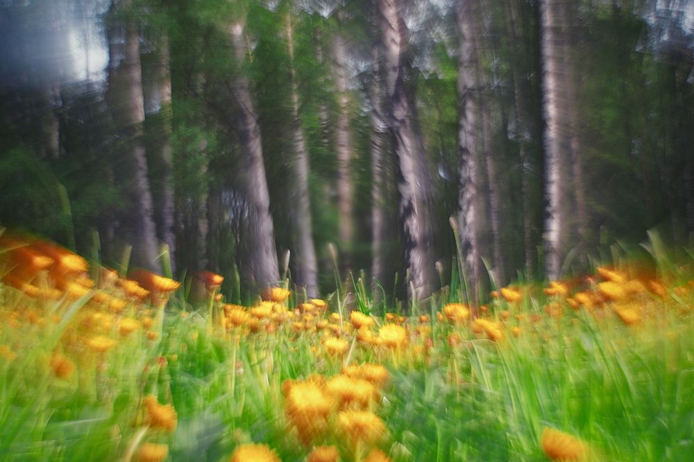 Фотография автора Яна Егорова