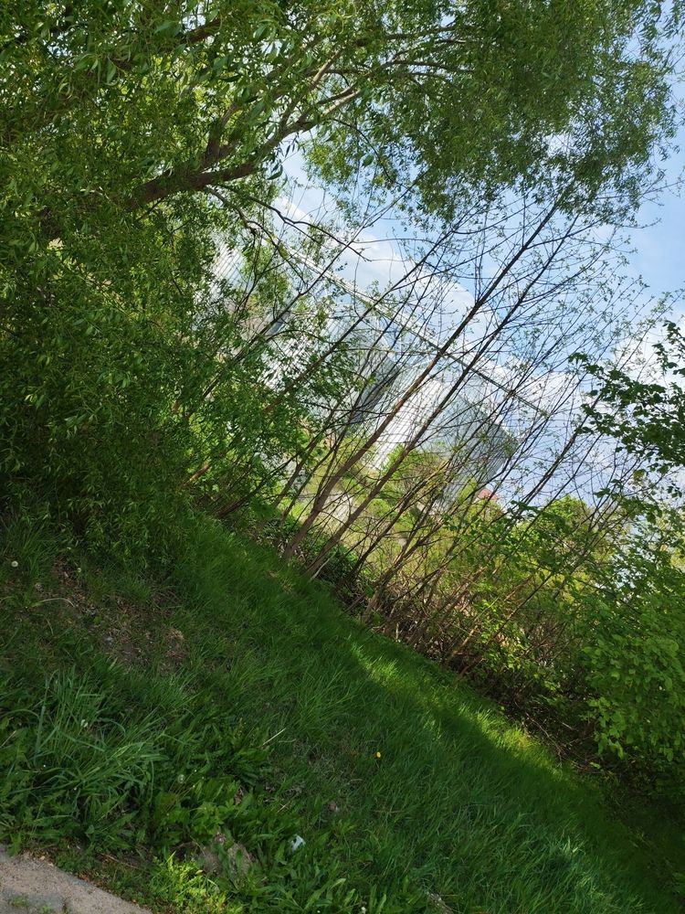 Photograph by Евгения Лещева