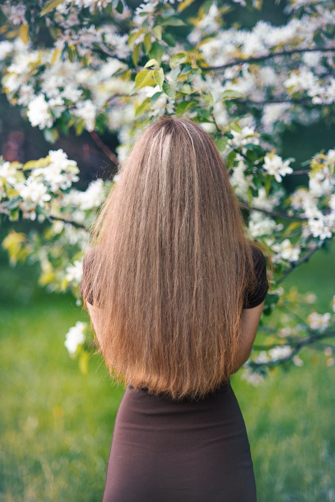 Photo #13606204