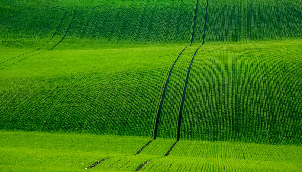 Фотография автора Людмила Прокофьева