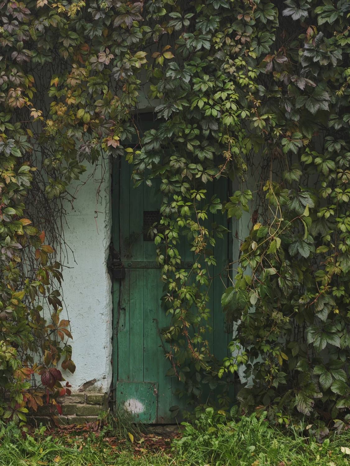 Photo #13606496