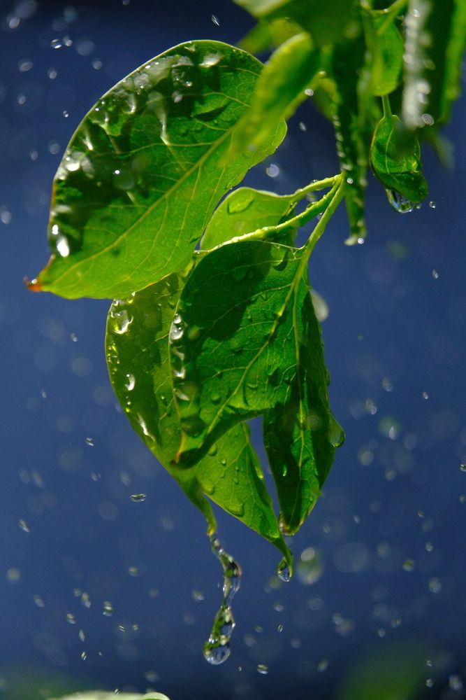 Photograph by Яна Истоцкая