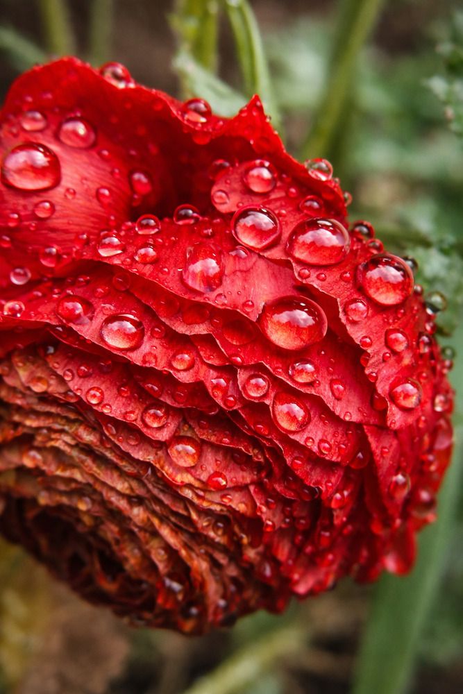 Photograph by Elitsa Petrova