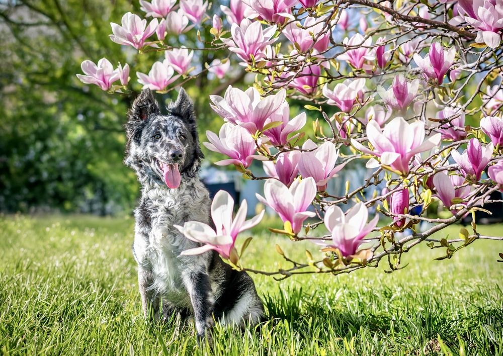 Photograph by Zita Pingor