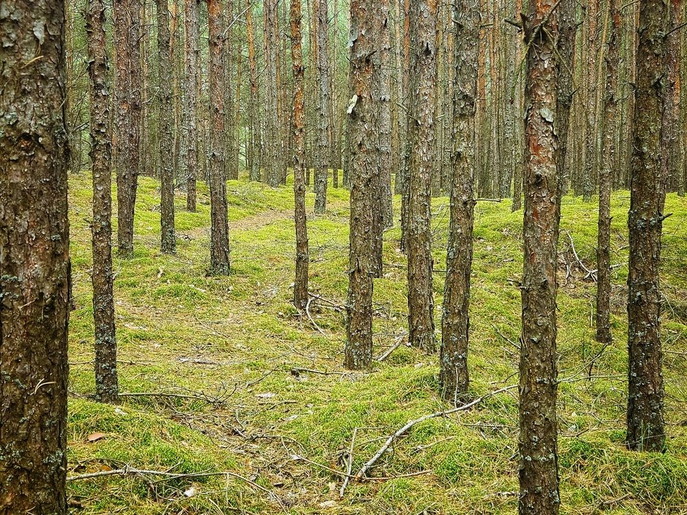 Photograph by Юлия Ковалева
