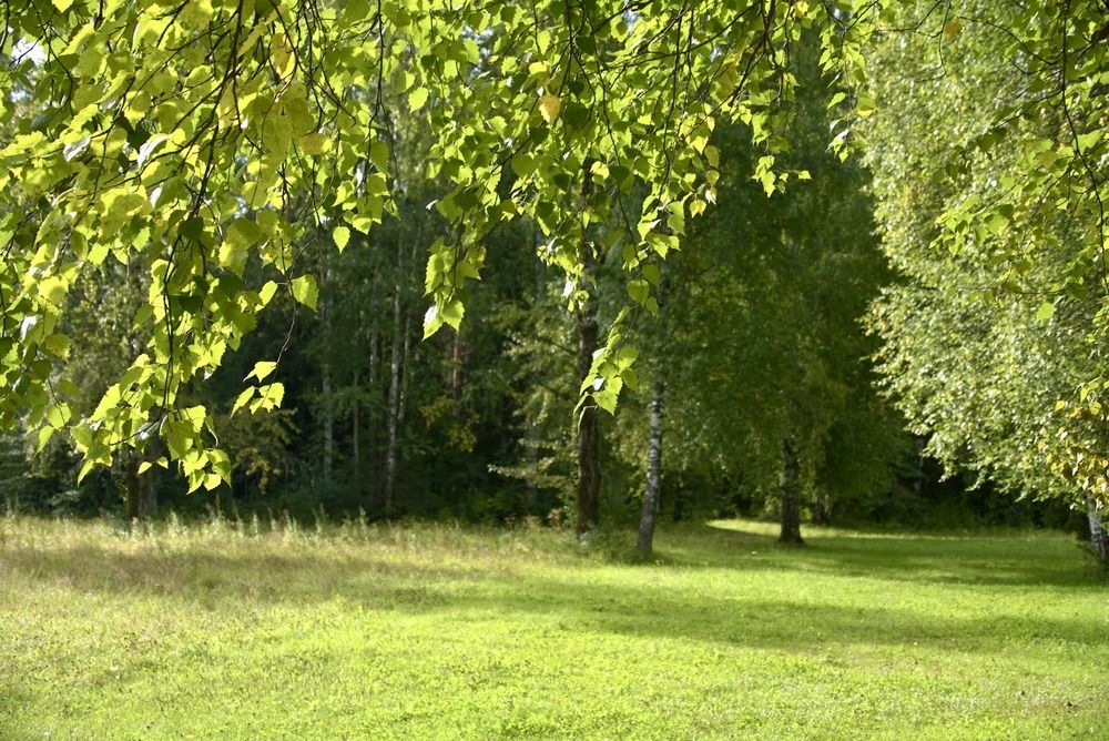 Photograph by Светлана Хохлова