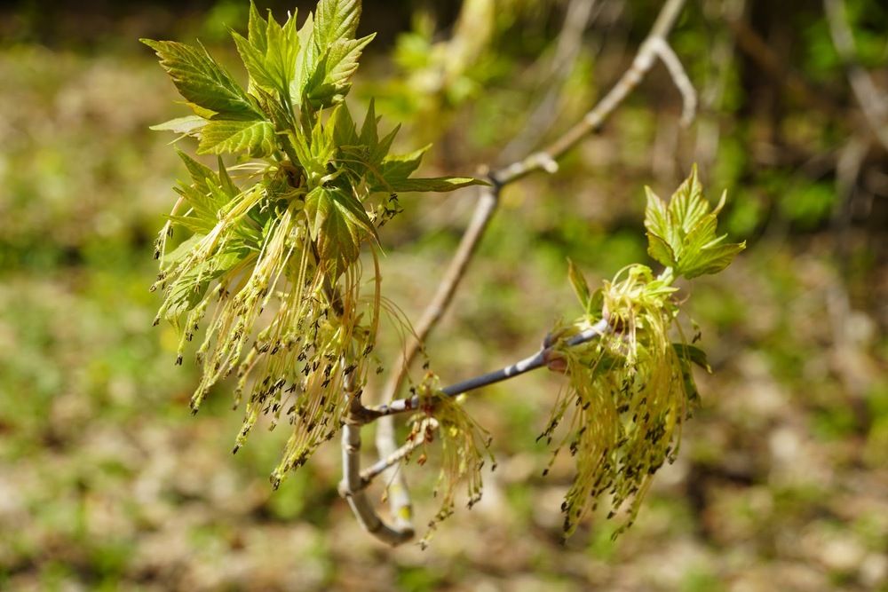 Photograph by Светлана Хохлова