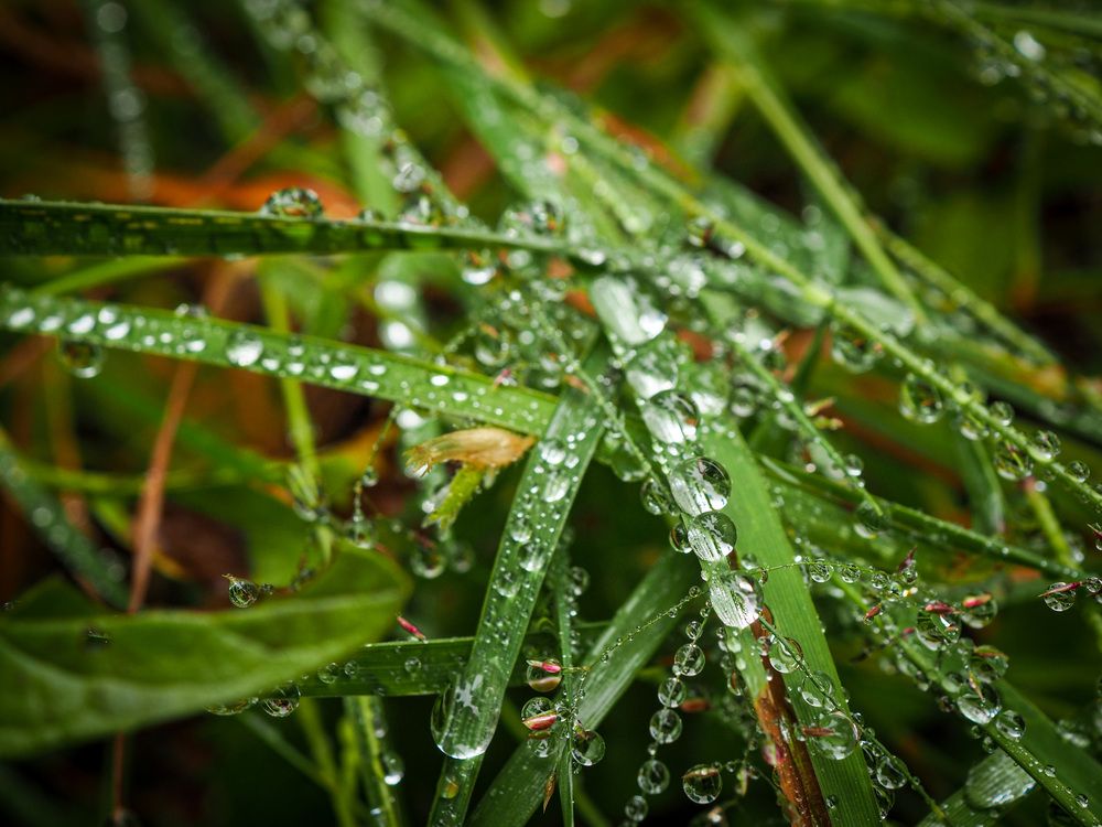 Rain art