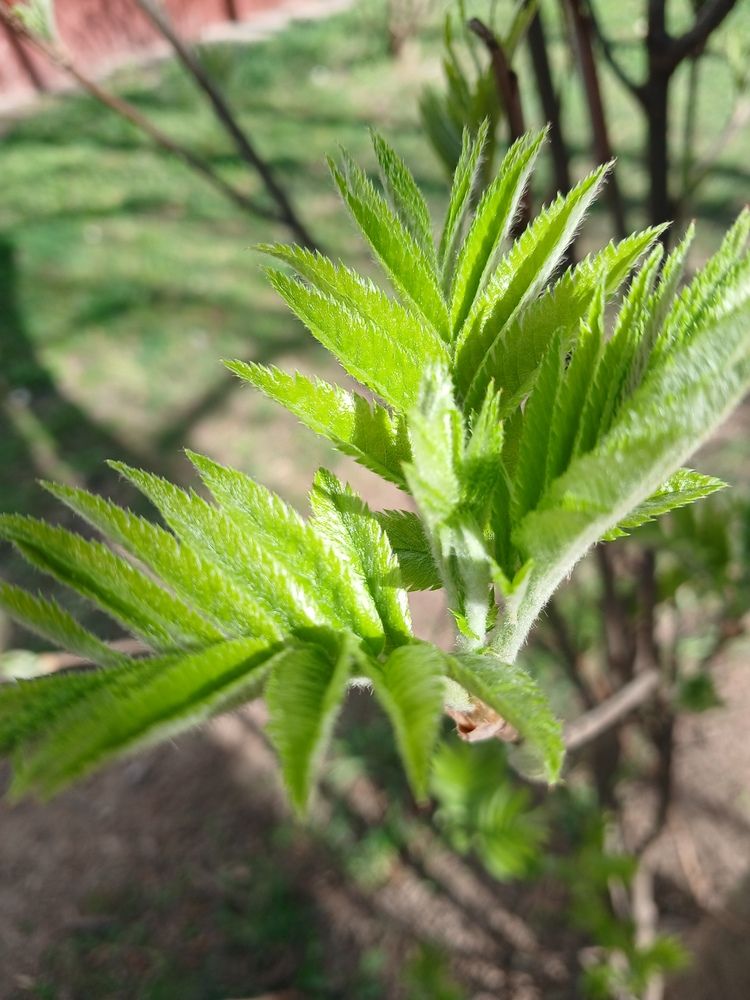 Photograph by Ольга Юрченко
