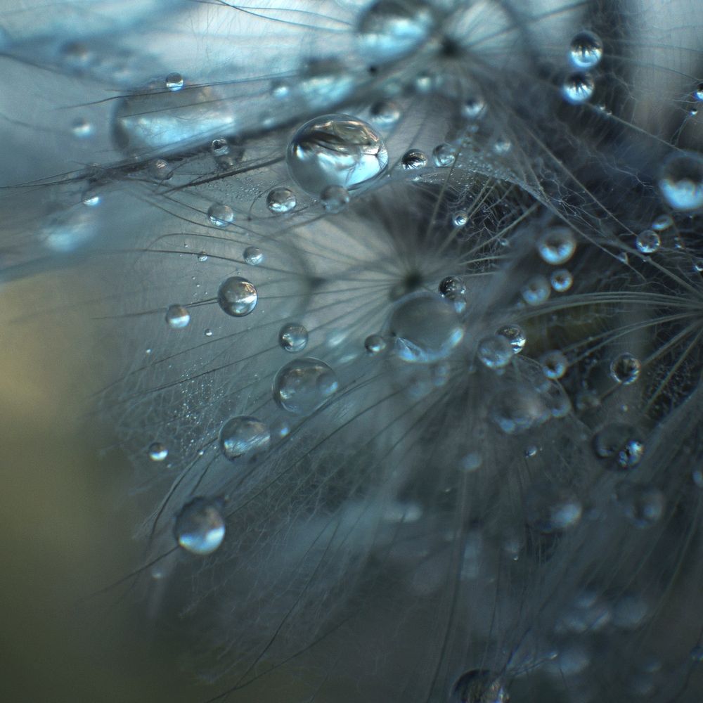 Photograph by Татьяна Максакова
