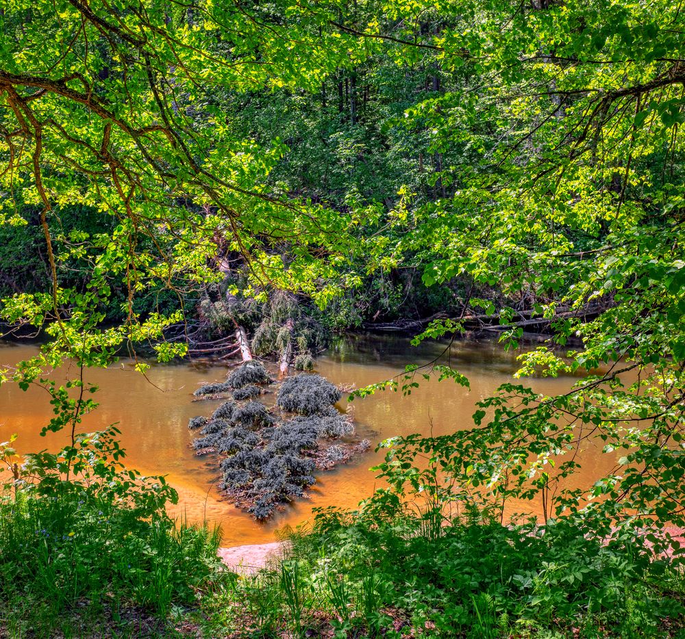 Photograph by Александр Сальников