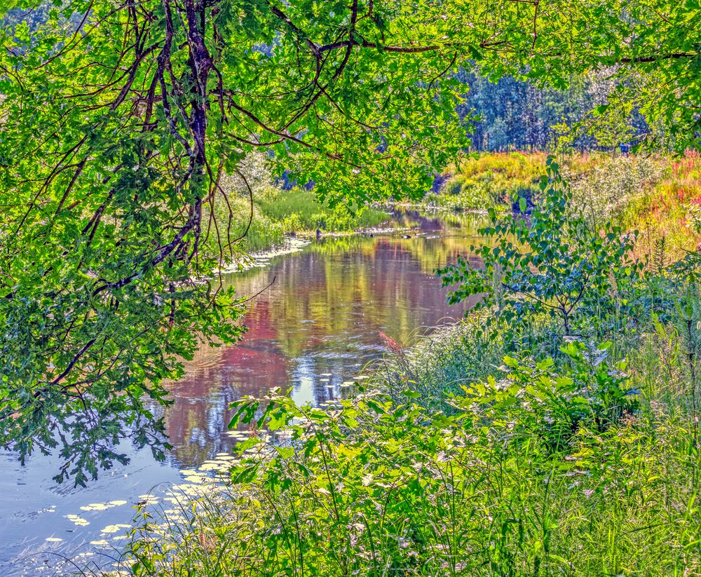Photograph by Александр Сальников