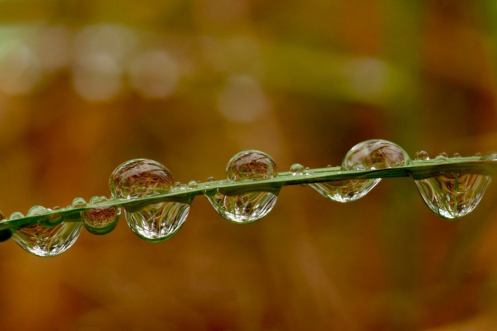 Photograph by Наталия Шинкевич