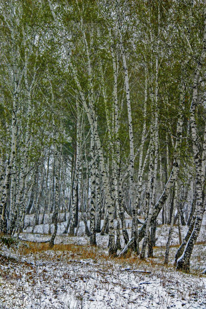 Photograph by Юрий Борик