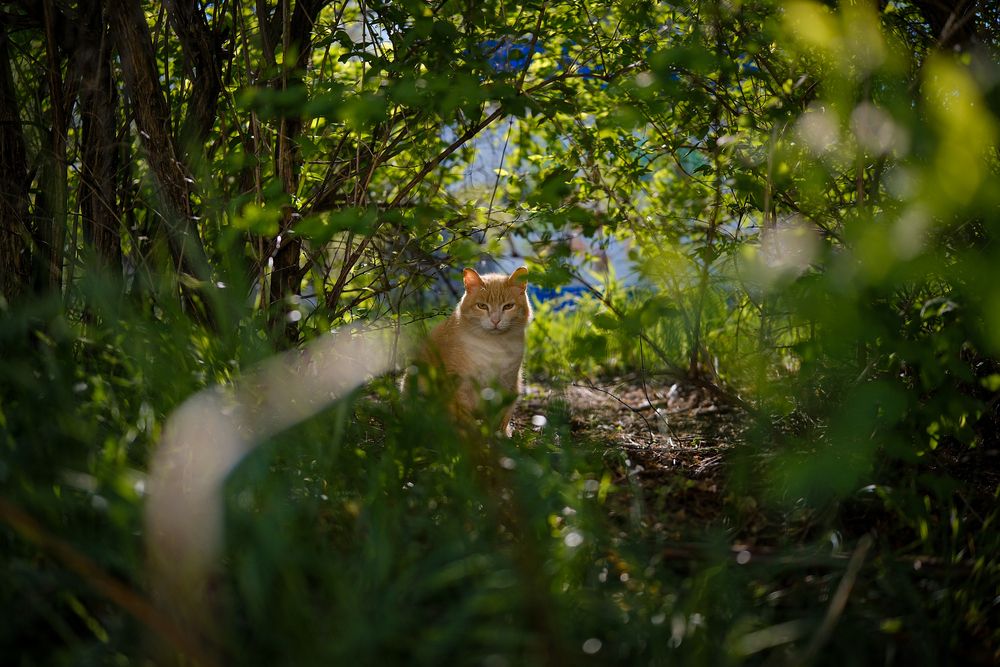 Photograph by Sergey Boiko