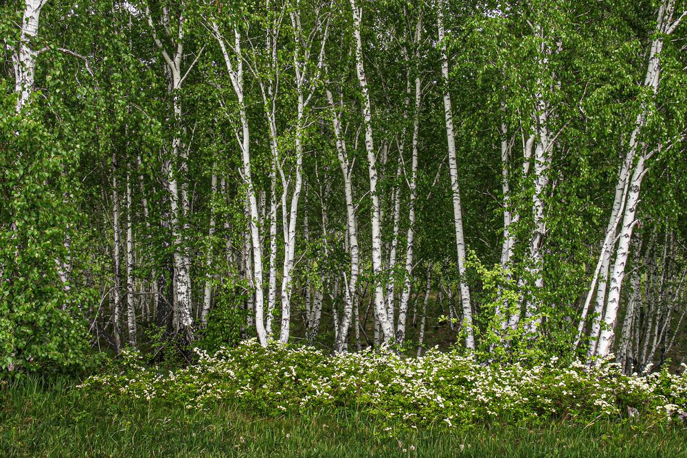 Photograph by Юрий Борик