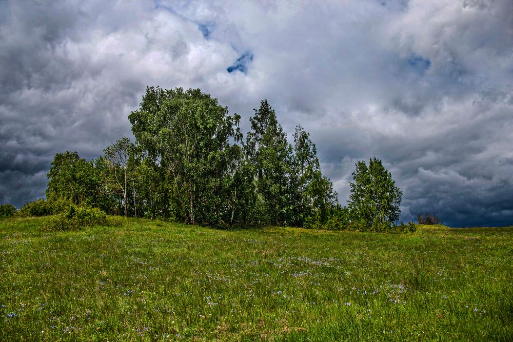 Photograph by Юрий Борик