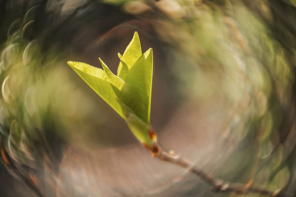 Photograph by Матюхина Наталья