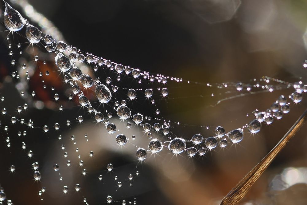 Photograph by Наталия Шинкевич