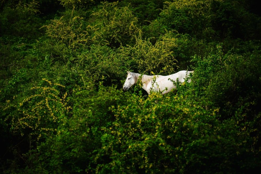 Photograph by Вячеслав Косенков