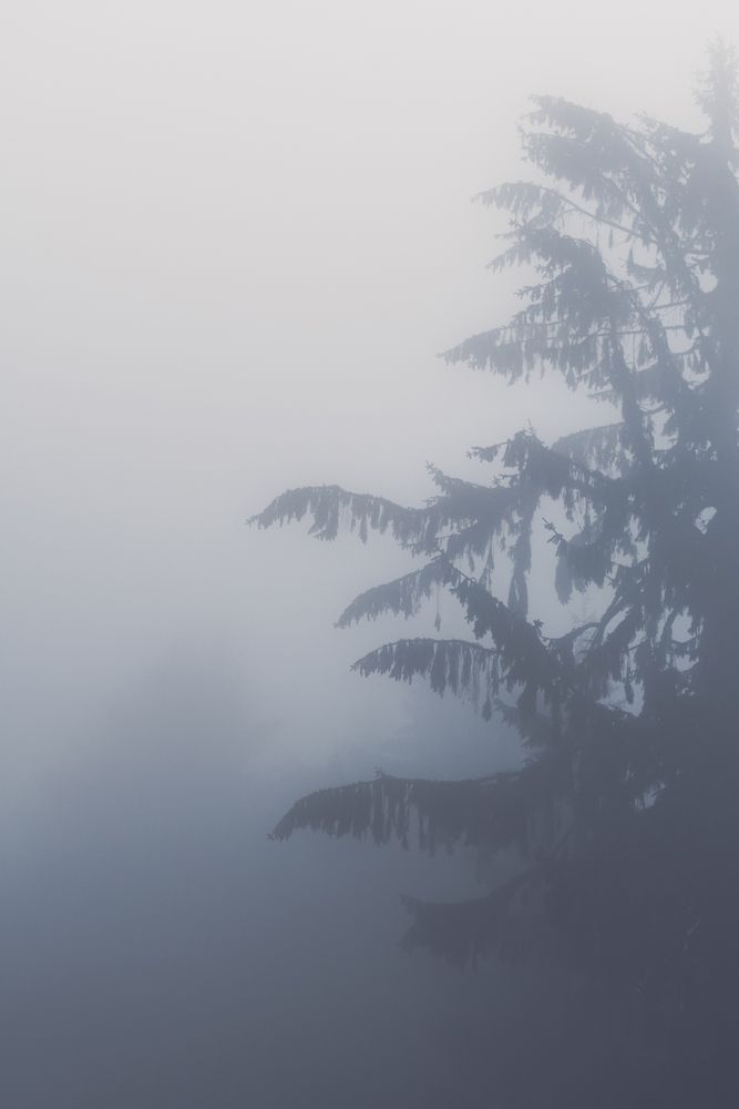 Photograph by Dimitar Titov