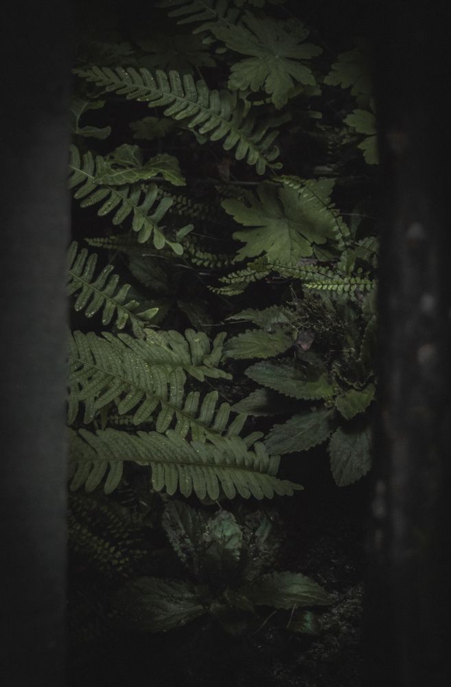 Photograph by Dimitar Titov