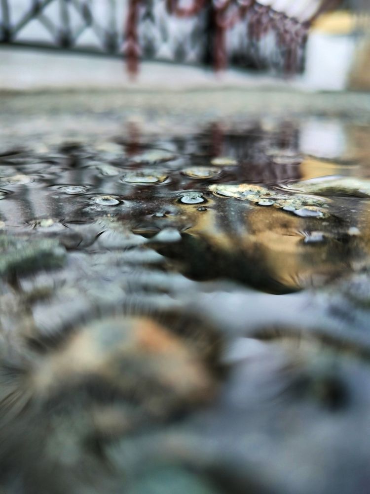 Photograph by Татьяна Небрат