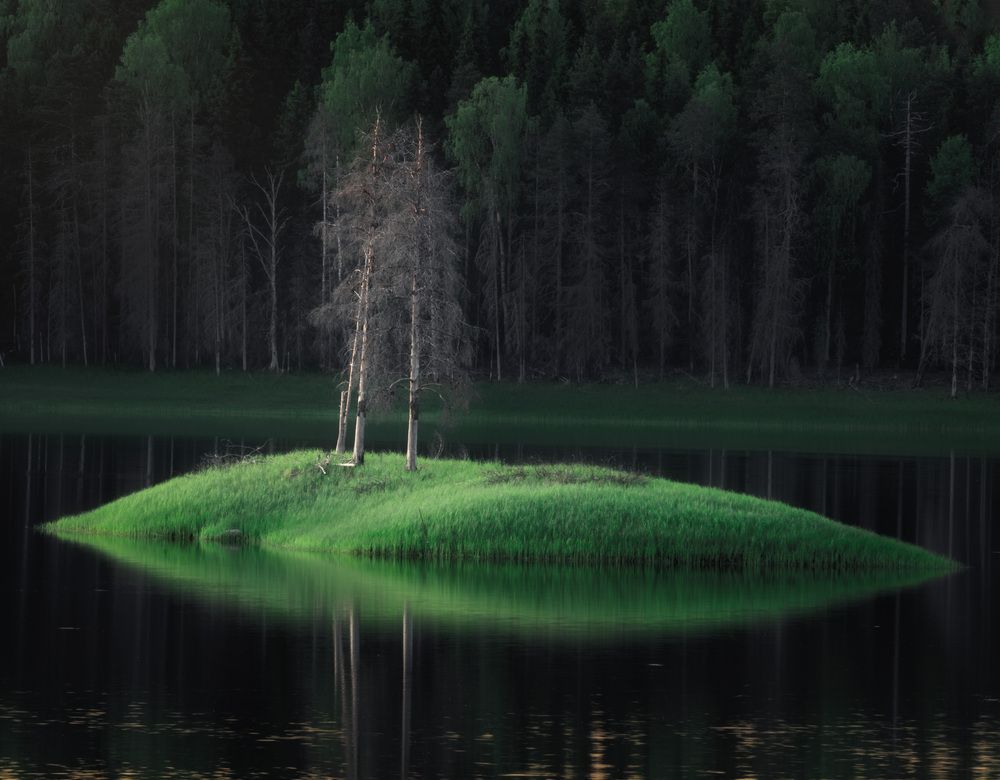 Photograph by Алексей Турчин