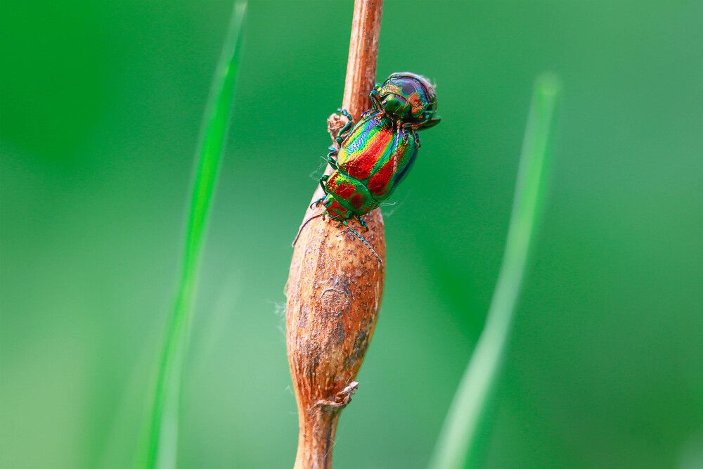 Photograph by Денис Гайдуков